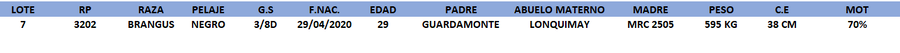 Lote LOTE 7