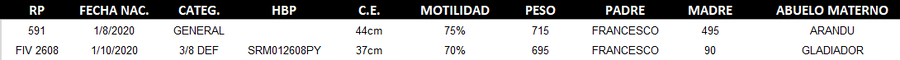 Lote LOTE 53 - DUO
