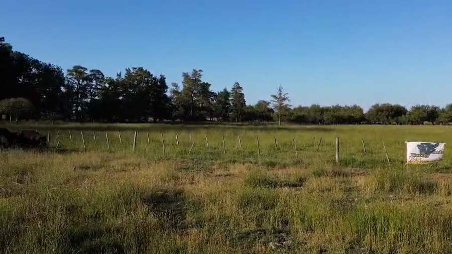 Lote 200 AL CTE MEDIO USO