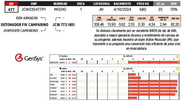 Lote LOTE 64