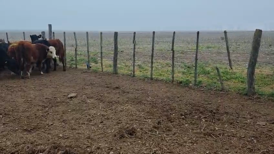 Lote Sancti spiritu