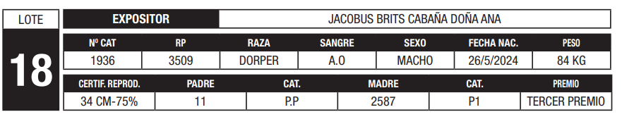 Lote LOTE 18