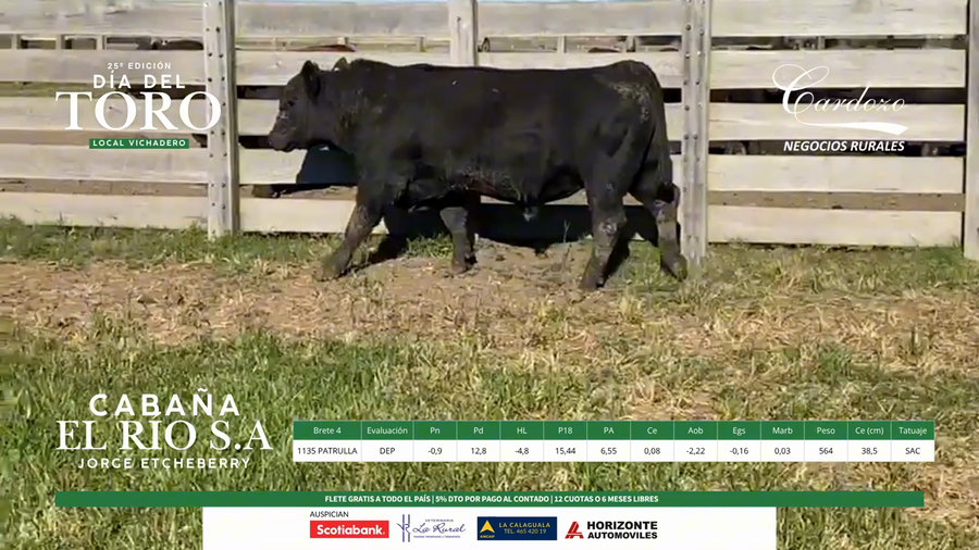 Lote El Rio Angus - Brete 4