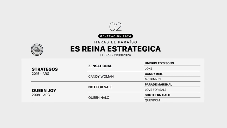 Lote ES REINA ESTRATEGICA