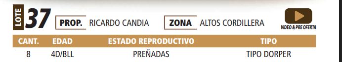 Lote LOTE 37 -POR PANTALLA