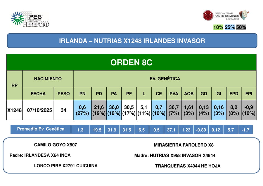 Lote ORDEN 8 TERNERAS PP