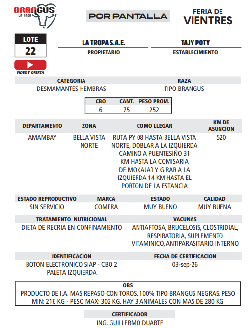 Lote LOTE 22 - POR PANTALLA