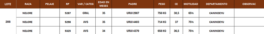 Lote LOTE 208- POR PANTALL