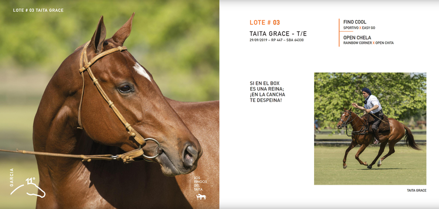Lote TAITA GRACE - T/E (FINO COOL - OPEN CHELA)
