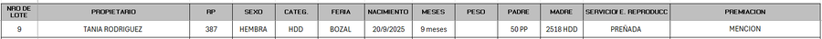Lote LOTE 9 - BOZAL