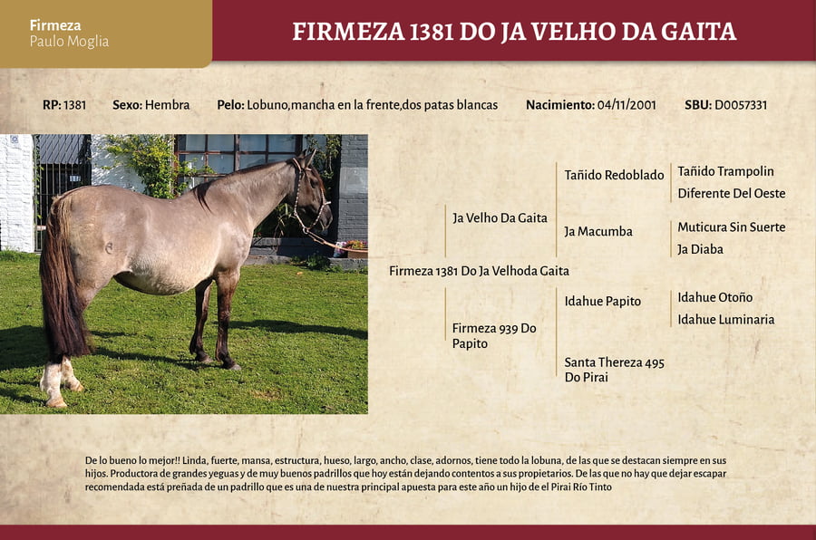 Lote Firmeza 1381 (RP 1381) - Cabaña Firmeza