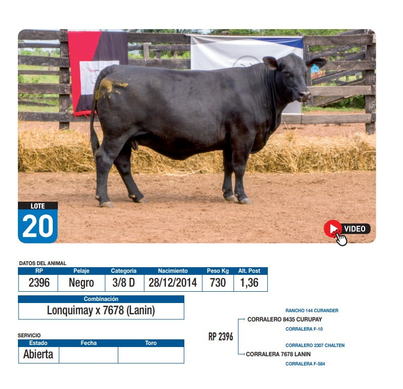 Lote Lonquimay x 7678 (Lanin)