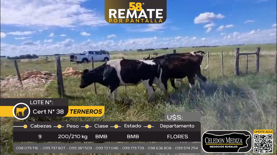 Lote 9 Terneros en Otra Localidad, Flores