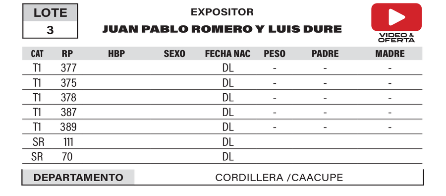 Lote LOTE 3- POR PANTALLA