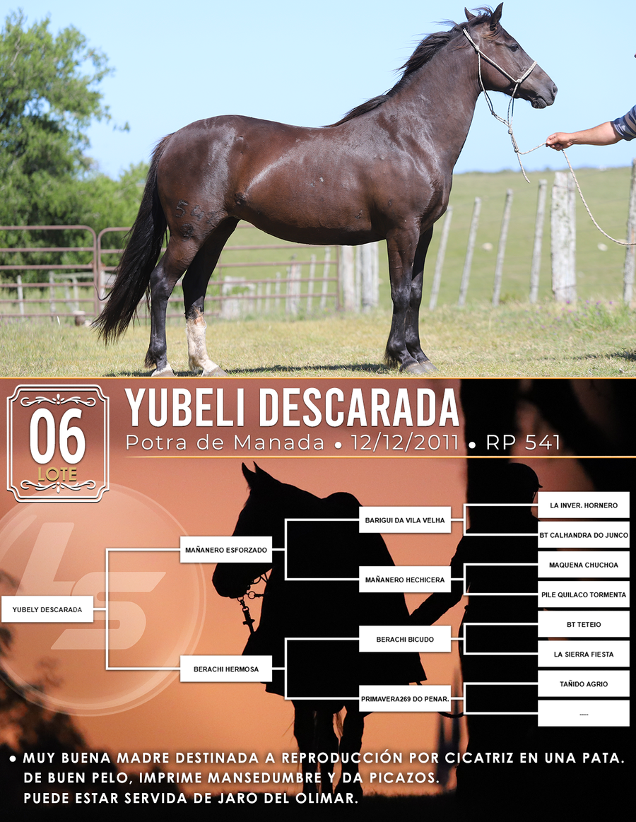 Lote YUBELI DESCARADA