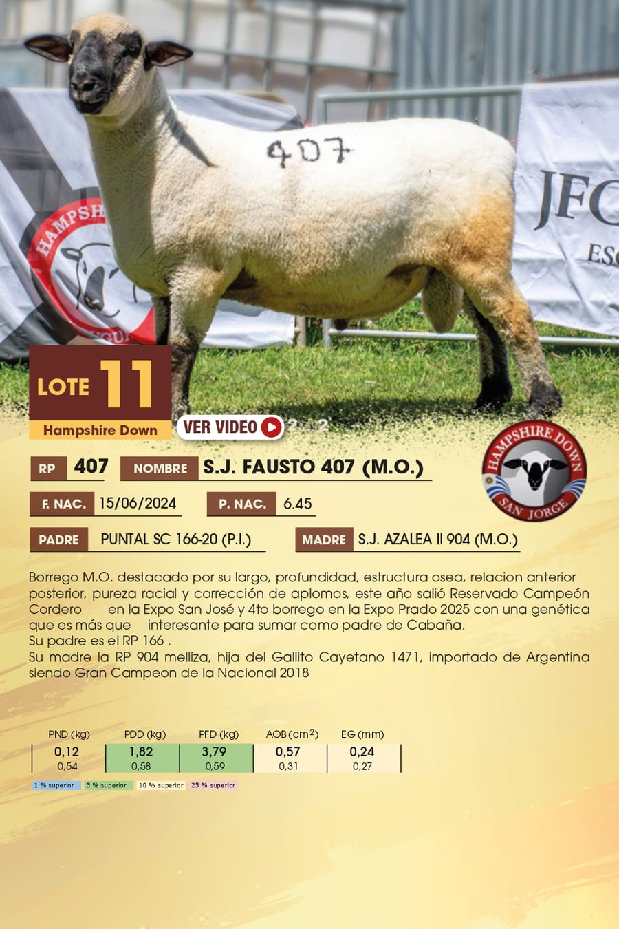 Lote 11 - Hampshire Down