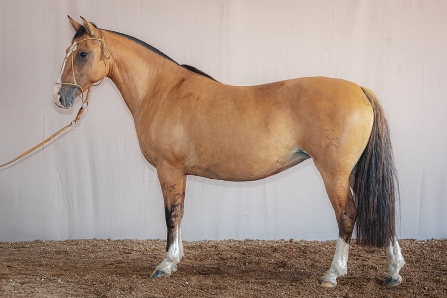 Lote Rincon Pampeana - Cabaña La Higuera