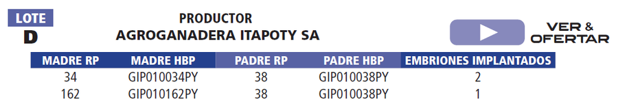 Lote LOTE D