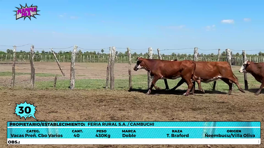 Lote LOTE 30