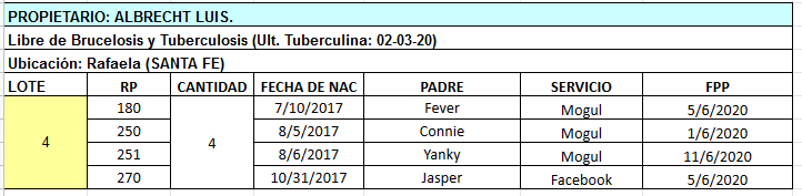 Lote 4 Vaquillonas preñadas en Rafaela, Santa Fe