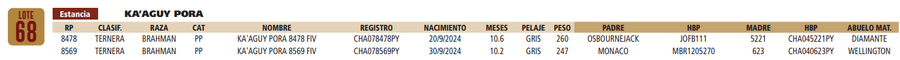 Lote LOTE 68