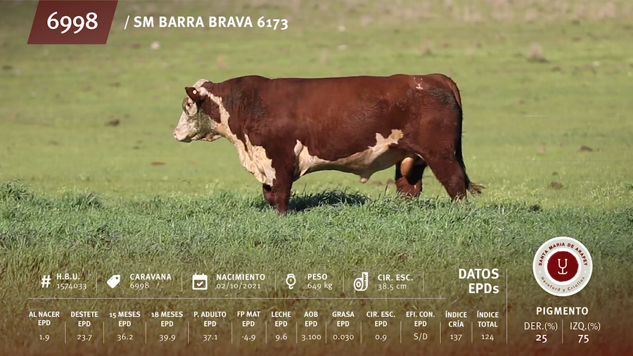 Lote Toros a remate en Remate anual Ñu Porá 2023, Paysandú