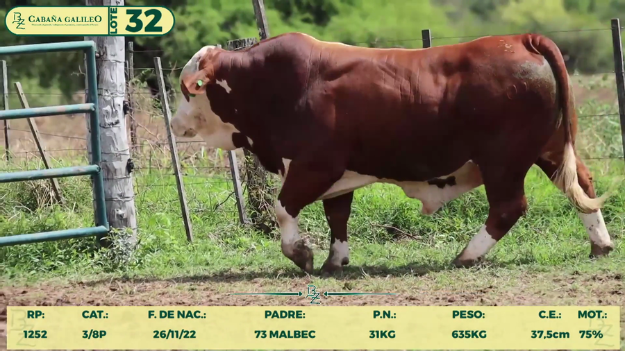 Lote LOTE 32