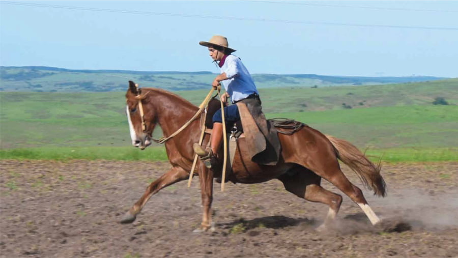 Lote El Gavilan Mete Miedo (RP 408) Cabaña "El Gavilán"