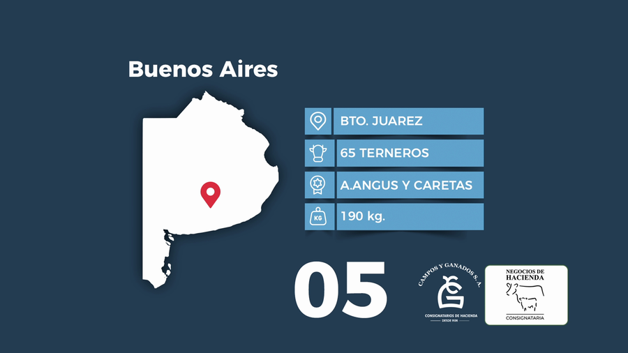 Lote 65 Terneros en Buenos Aires, Benito Juárez