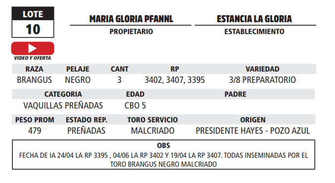 Lote LOTE 10 - EN VIVO