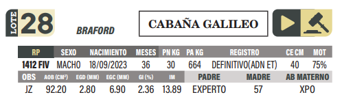 Lote LOTE 28