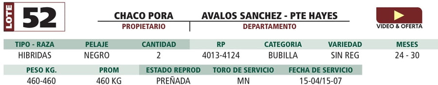 Lote LOTE 52