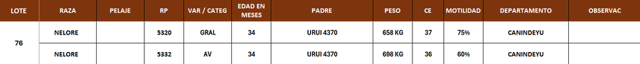 Lote LOTE 76- POR PANTALLA