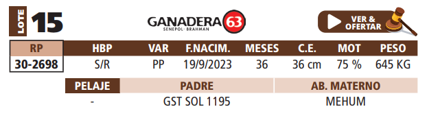 Lote LOTE 15