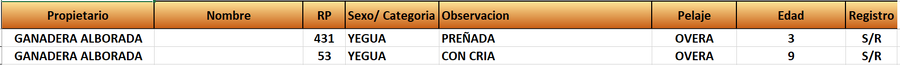 Lote LOTE 28