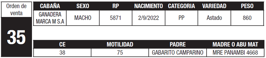 Lote LOTE 35