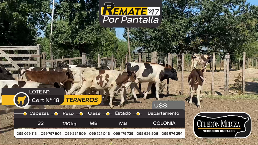 Lote 32 Terneros en Otra Localidad, Colonia