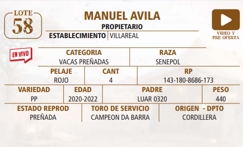 Lote LOTE 58 -EN VIVO