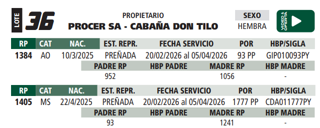 Lote LOTE 36