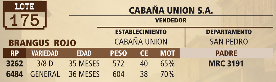 Lote LOTE 175 - PANTALLA