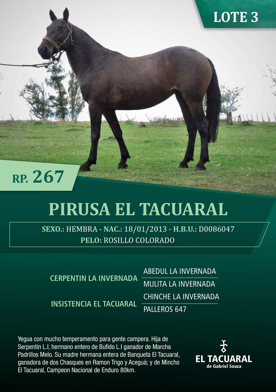 Lote PIRUSA EL TACUARAL - R.P. 267