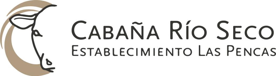 Lote TORO BRAFORD GEN. INTERMEDIA