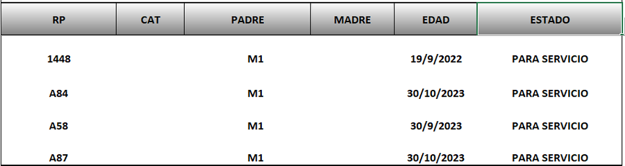 Lote LOTE 56
