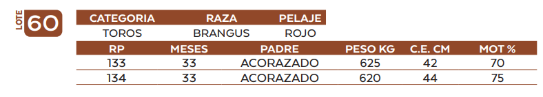 Lote LOTE 60