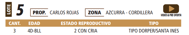 Lote LOTE 5 -POR PANTALLA