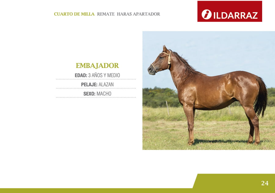 Lote EMBAJADOR