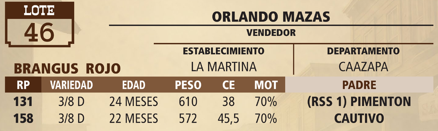 Lote LOTE 46 - VIVO