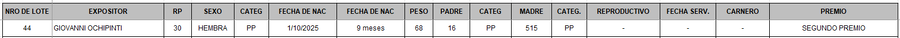 Lote LOTE 44 - BOZAL