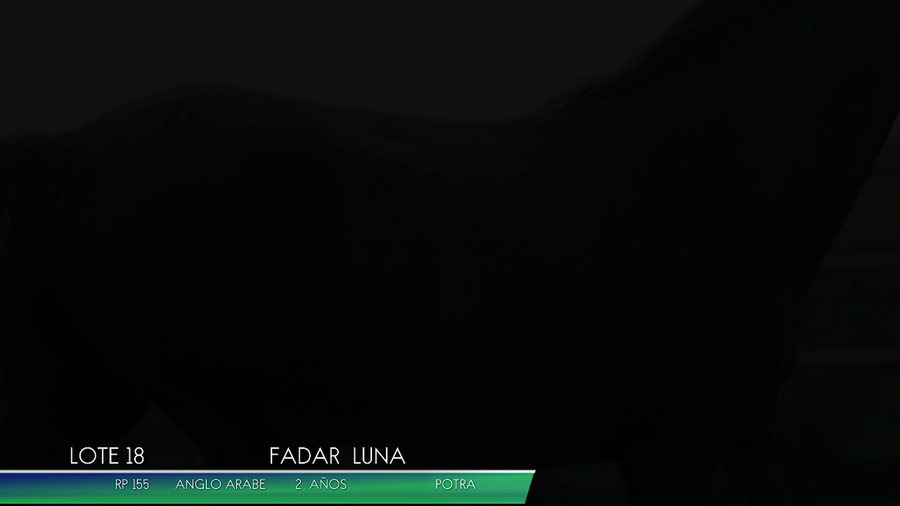 Lote FADAR LUNA