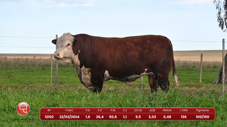 Lote Lote 25